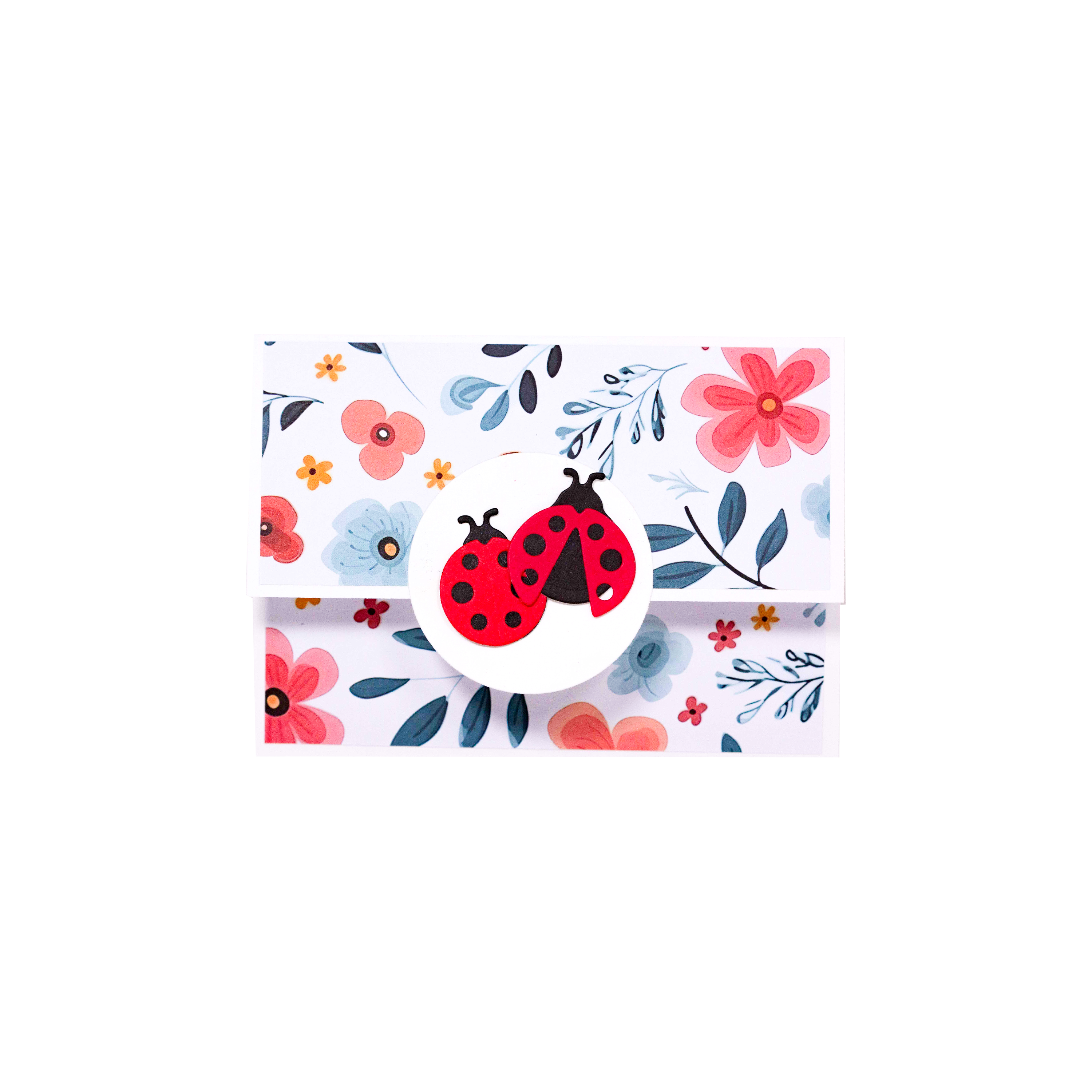 Ladybug I Birthday Gift Card Holder