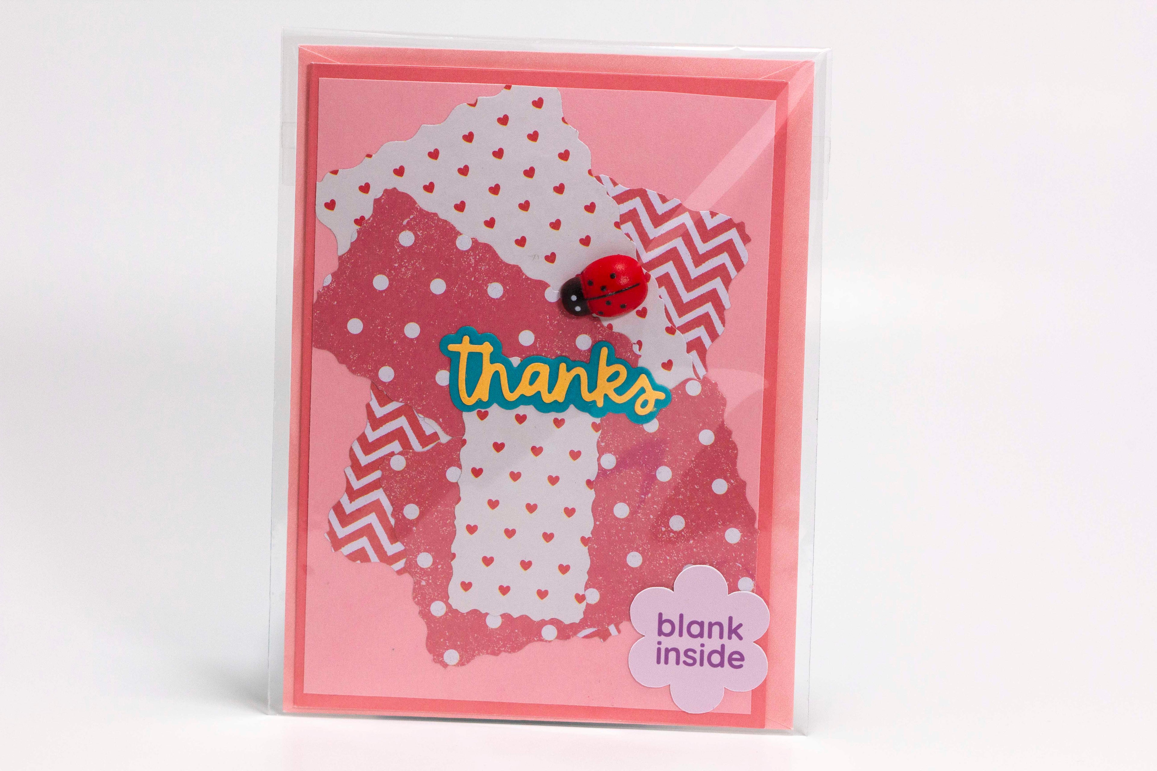 Thanks  Pink Shaped Paper Plastic Lady Bug