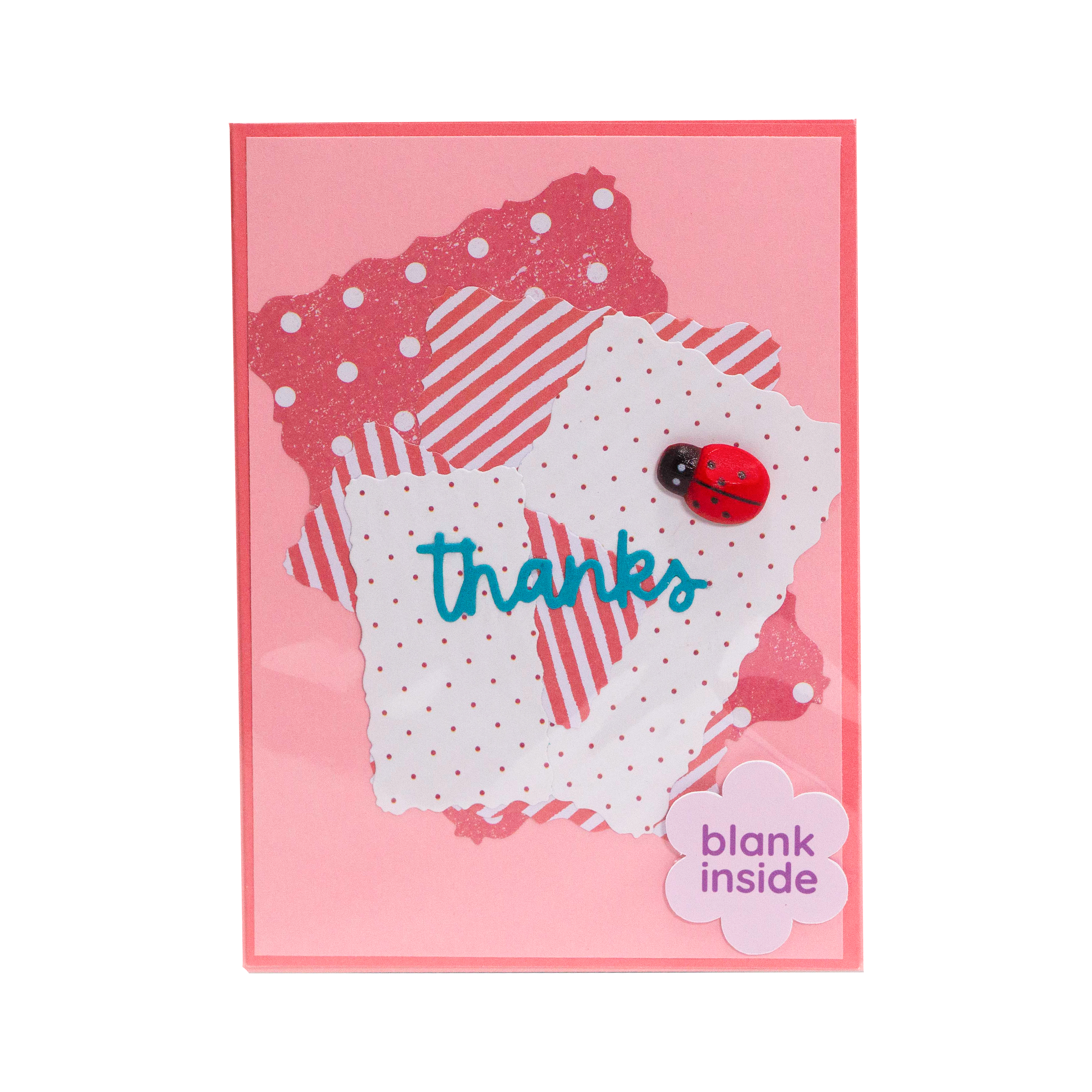 Thanks Pink Background with  Plastic Lady Bug Note Card